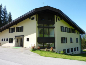 Гостиница Appartementhaus Hochkönig 1 - Alpenrose  Мюльбах-Ам-Хохкёниг
